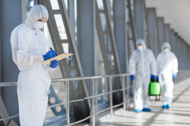 Trusted Westport Village, CT Mold Removal Experts