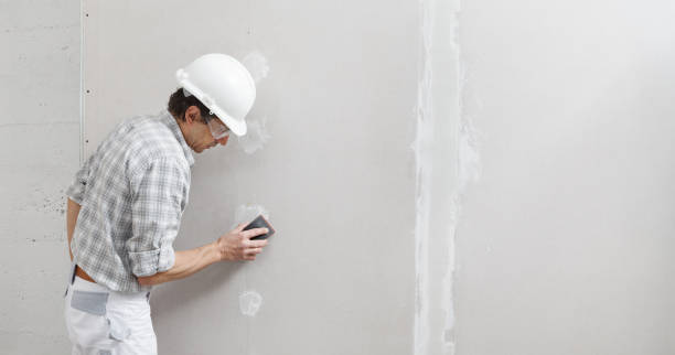 Best Attic Mold Removal  in Westport Village, CT
