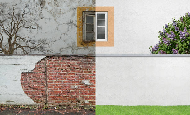 Best Emergency Mold Remediation  in Westport Village, CT